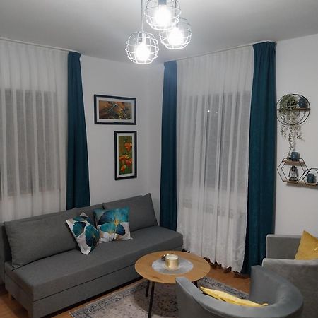 Apartment Petra I Nikola Selište Drežničko Zewnętrze zdjęcie