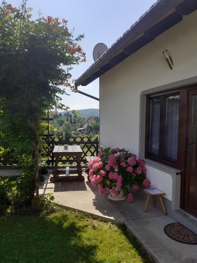 Apartment Petra I Nikola Selište Drežničko Zewnętrze zdjęcie