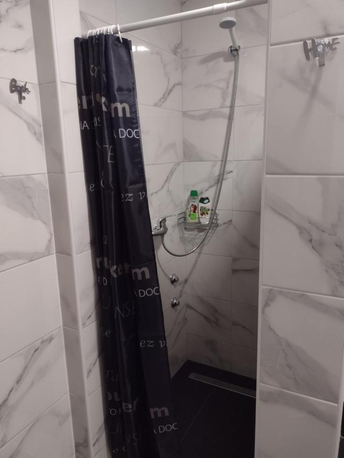 Apartment Petra I Nikola Selište Drežničko Zewnętrze zdjęcie