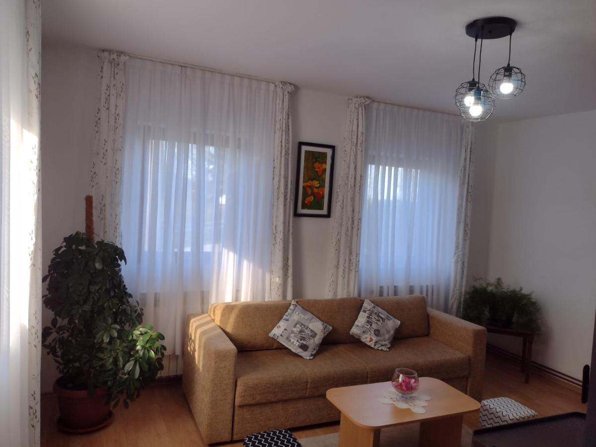 Apartment Petra I Nikola Selište Drežničko Zewnętrze zdjęcie