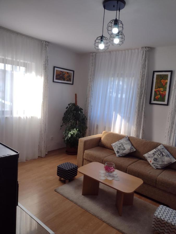 Apartment Petra I Nikola Selište Drežničko Zewnętrze zdjęcie