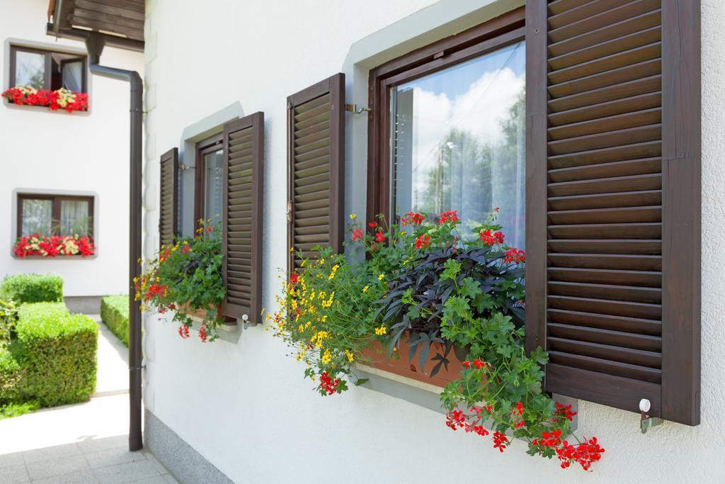 Apartment Petra I Nikola Selište Drežničko Zewnętrze zdjęcie