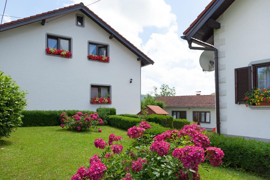Apartment Petra I Nikola Selište Drežničko Zewnętrze zdjęcie