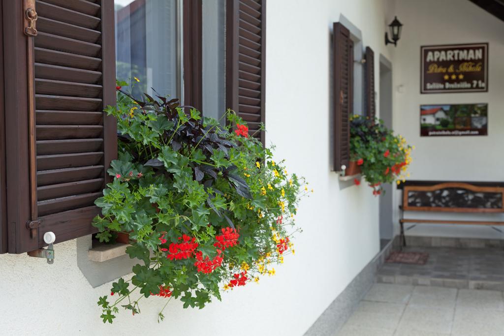 Apartment Petra I Nikola Selište Drežničko Zewnętrze zdjęcie