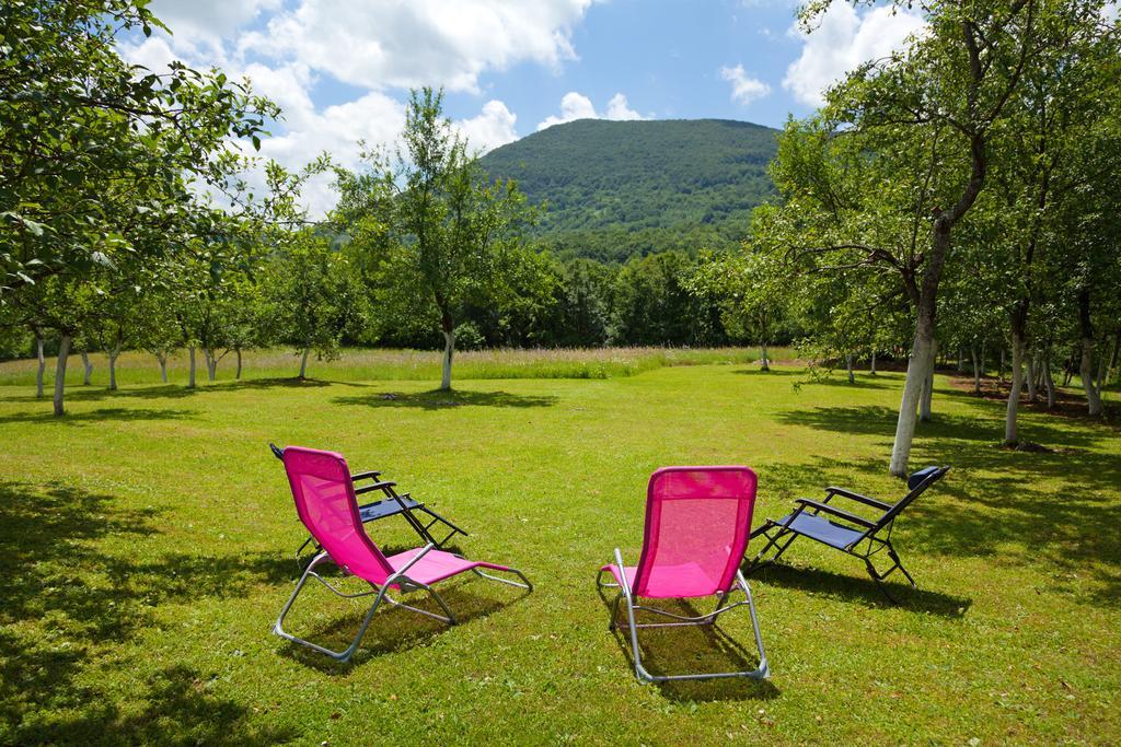 Apartment Petra I Nikola Selište Drežničko Zewnętrze zdjęcie