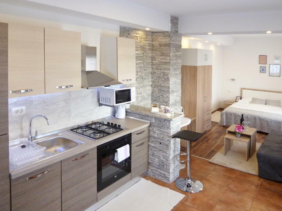 Apartment Petra I Nikola Selište Drežničko Zewnętrze zdjęcie