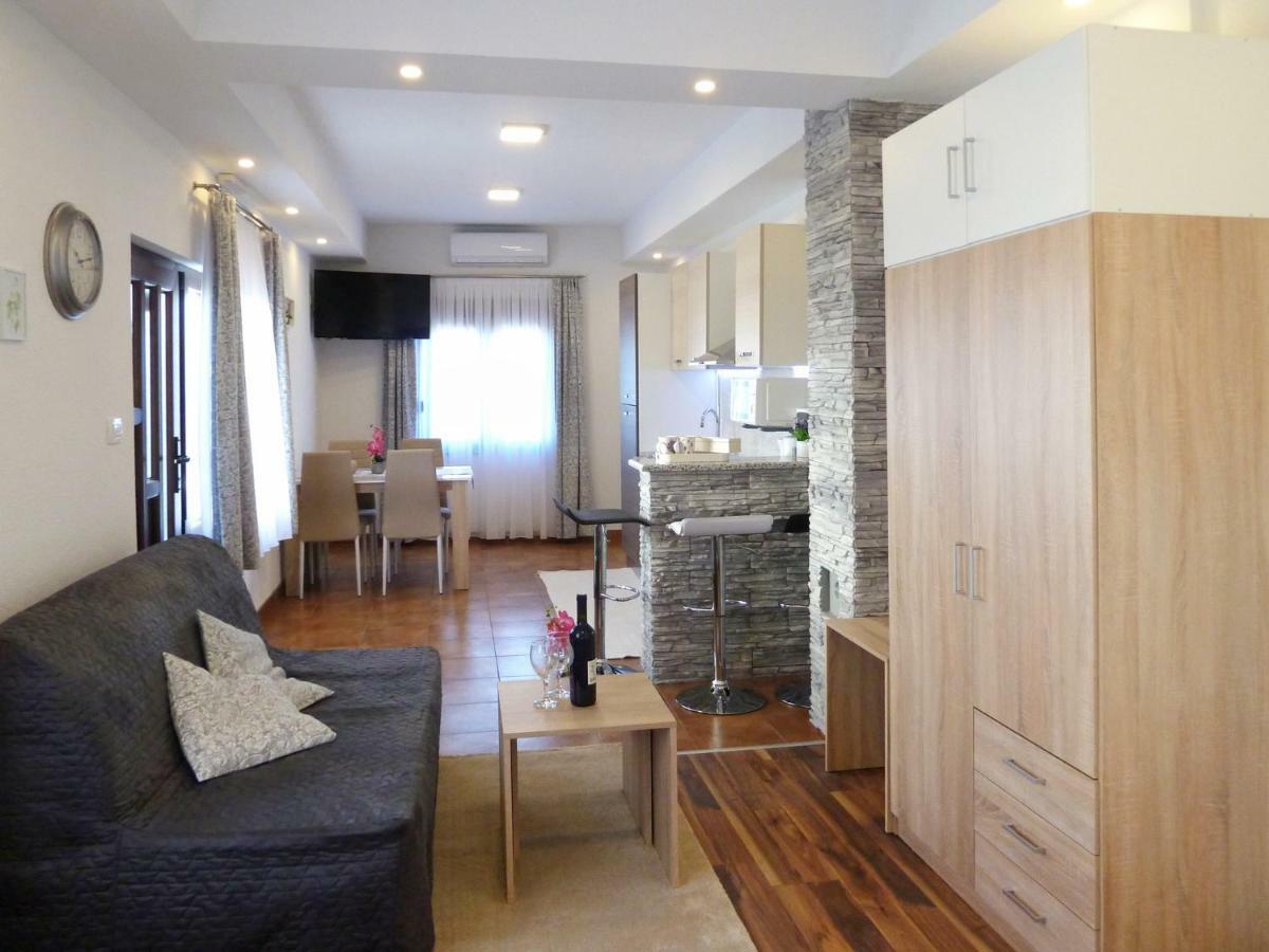 Apartment Petra I Nikola Selište Drežničko Zewnętrze zdjęcie